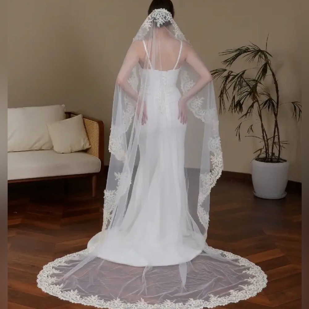 Veil - Picture 2 of 5